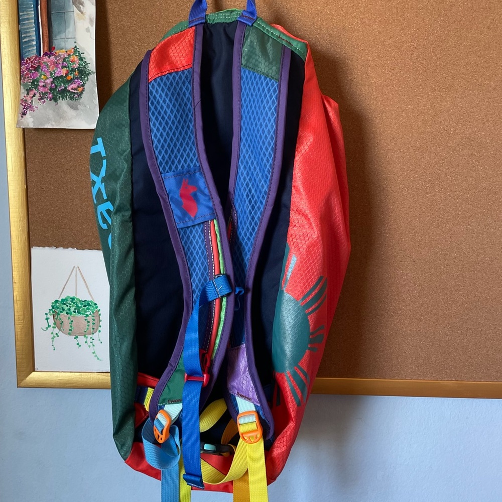 Cotapaxi backpack